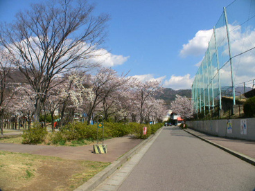 甲府市緑が丘スポーツ公園の画像4