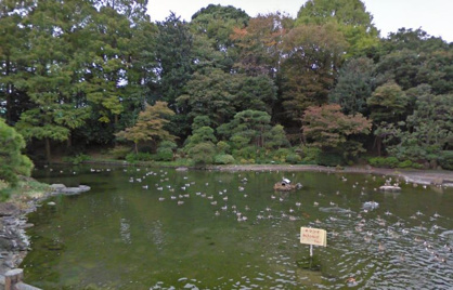 戸越公園の画像1