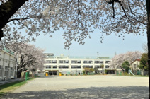 杉並区八成小学校