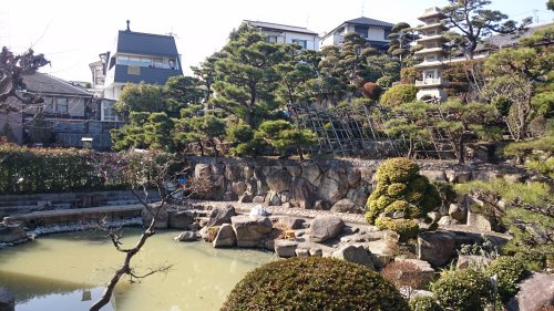 釣り堀があったなんて知ってました??の画像