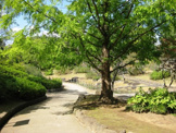 公園 泉谷公園