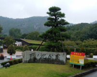 市ノ池公園