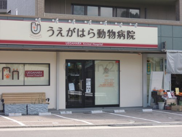 うえがはら動物病院の画像1
