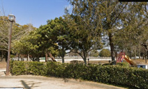 大沢池スポーツ公園