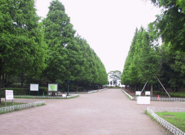 そうか公園の画像1