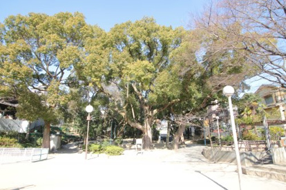 晴明丘相生公園の画像3