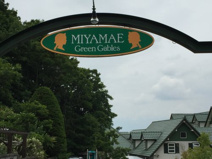 (私立)宮前保育園