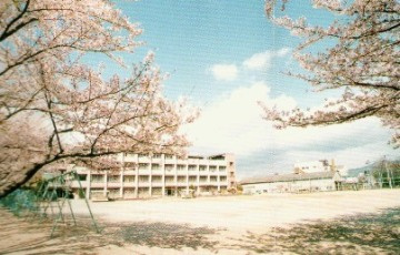 東大阪市市立楠根東小学校の画像1
