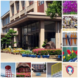 野口小学校の画像2