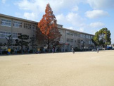 小学校 平岡小学校