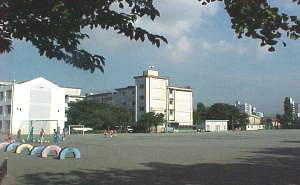藤沢市立　湘南台小学校の画像1