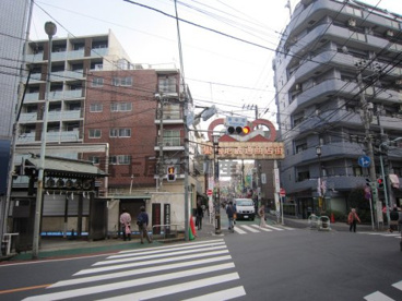 巣鴨地蔵通り商店街　庚申塚側の画像2