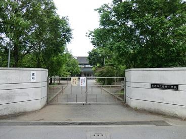 藤沢市立　辻堂小学校の画像1