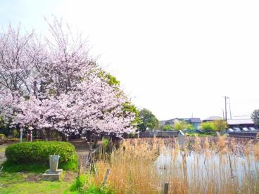 桜小路公園の画像1