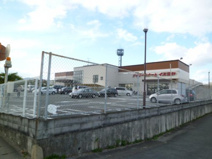 デイリーカナートイズミヤ羽束師店