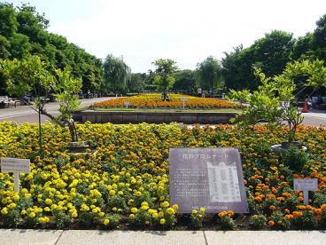 長久保公園の画像1
