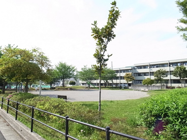 ヒヨドリ公園の画像2