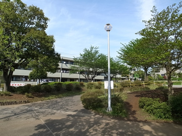 ヒヨドリ公園の画像4