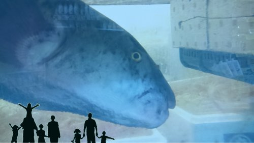 蛍池水族館の画像