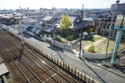 天下一武道会の会場の画像3