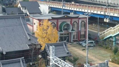 天下一武道会の会場の画像4