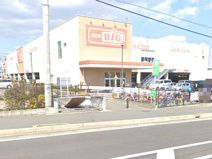 ザ・ビッグ平塚真田店