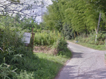 藤田ゴルフセンター