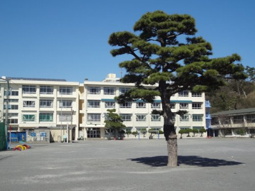藤沢市立　片瀬小学校の画像1