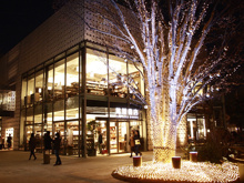 代官山 蔦屋書店