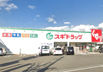  スギドラッグ八尾福万寺店