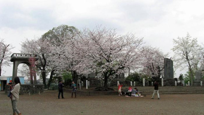 伊勢山緑地の画像1