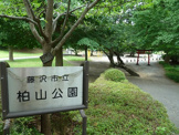 公園 柏山公園