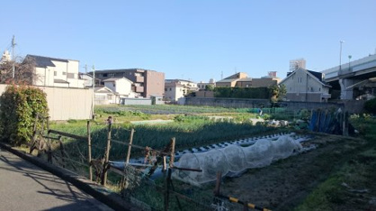 蛍池最後の畑の画像1