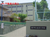 枝吉小学校
