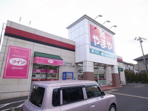 ダイソー　青葉の森公園店