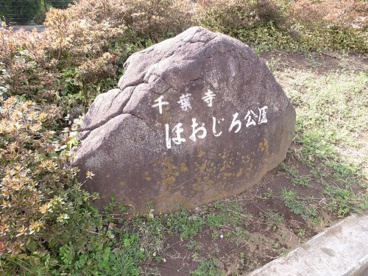 ほおじろ公園の画像3