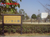 上ケ池公園