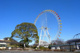  よみうりランドの画像