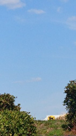 飛行機とニアミスする道の画像3