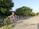 中央公園の画像