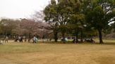 県立行田公園
