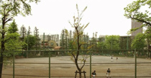 北新宿公園