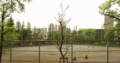 北新宿公園の画像1