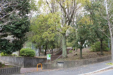 山麓公園