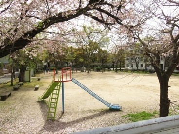 中広第一公園の画像1