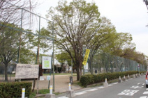 ナギノ木公園