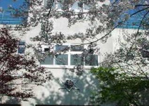 神南小学校