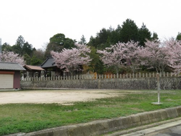 新宮神社の画像1