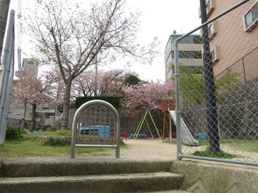 古江上公園の画像1