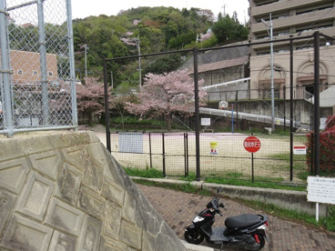 古江上公園の画像2